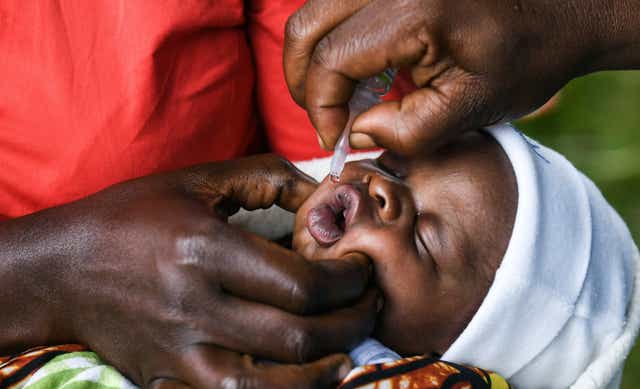 Malawi Polio Vaccination Drive