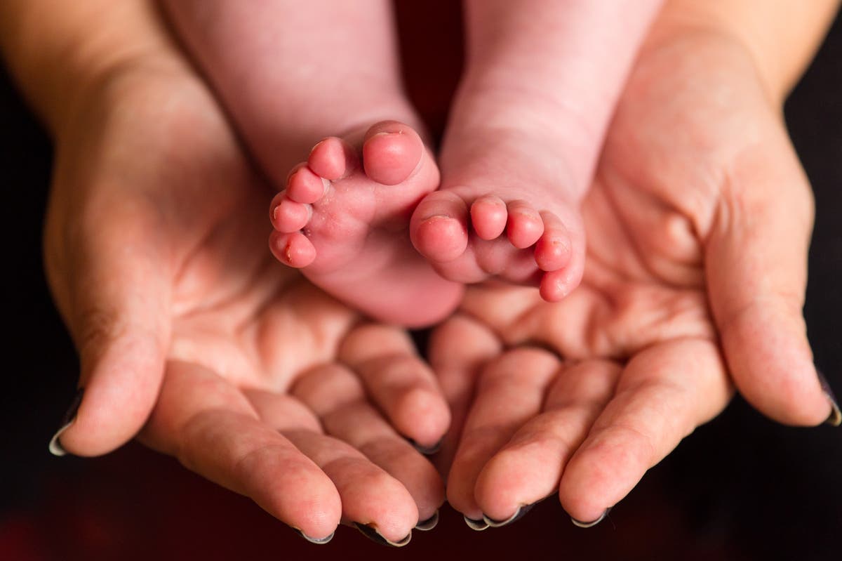 Fertility rates in England and Wales rise for first time in decade &ndash; ONS