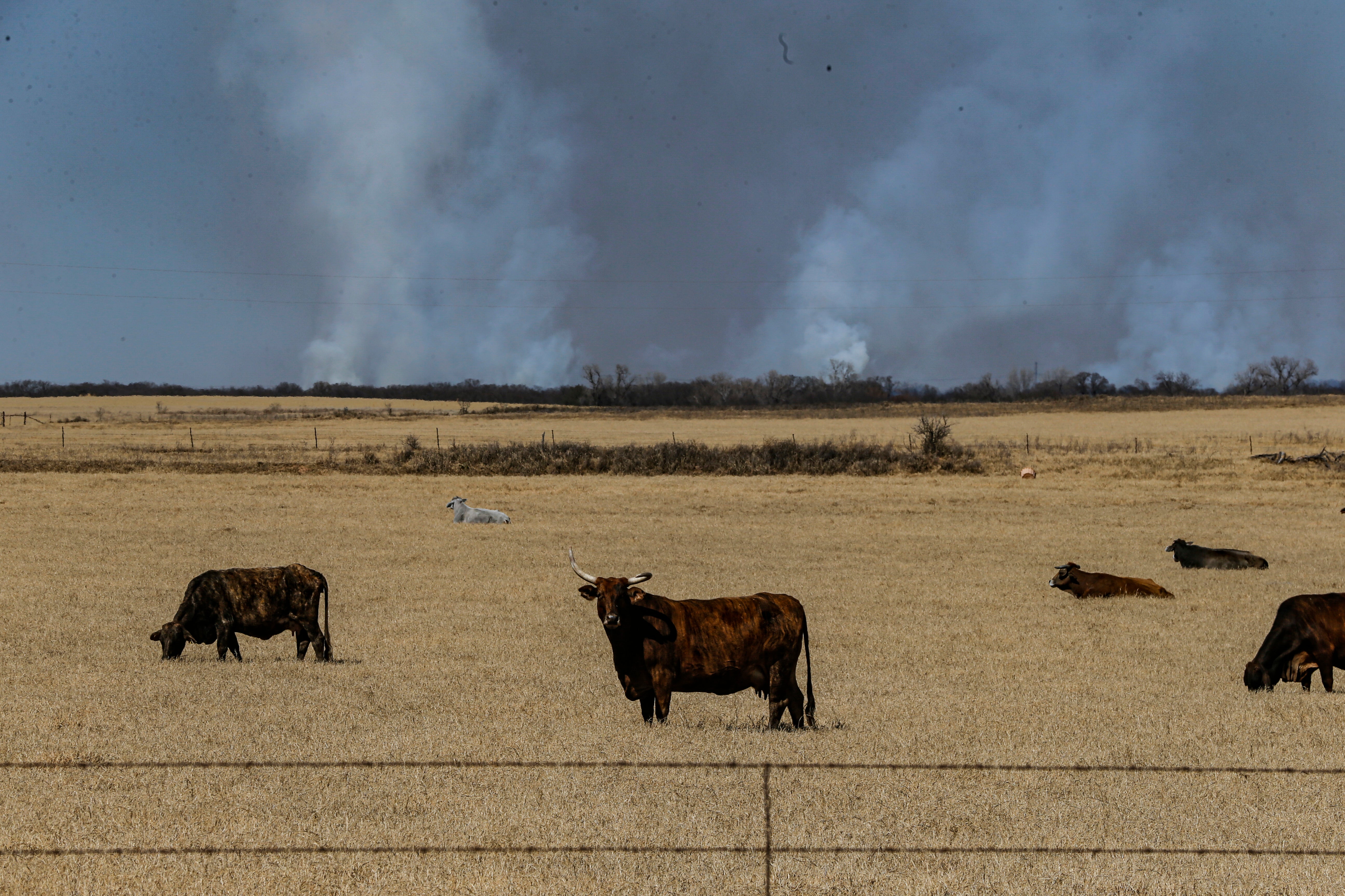 Southern Plains Wildfires