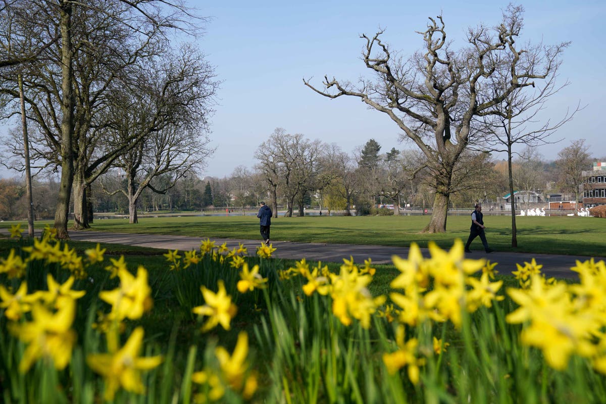 UK set for ‘plenty of sunshine’ this week – but with high pollution levels