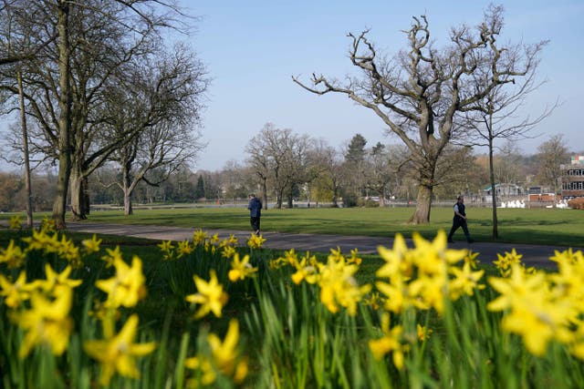 People walk by fields of daffodils at Cannon Hill Park in Birmingham (PA)