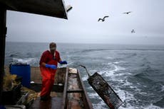 Abandoned lobster traps in Long Island Sound to be removed