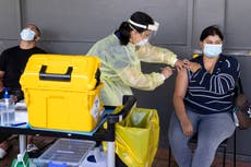 New Zealand to remove pandemic mandates as omicron wanes