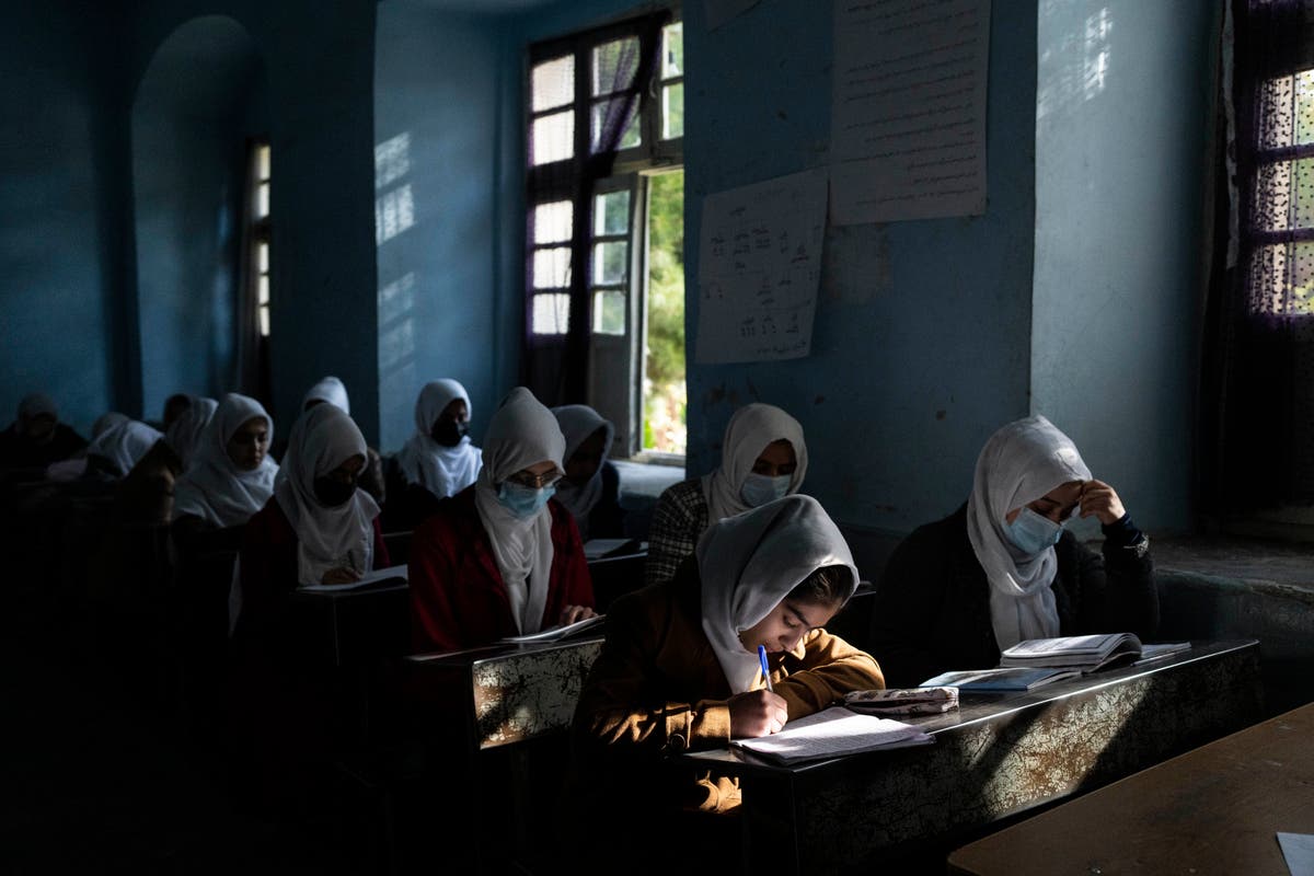 Taliban nixes girls higher education despite earlier pledges Taliban nixes girls higher education despite earlier pledges