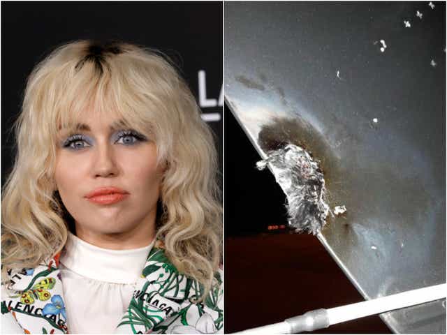 <p>Miley Cyrus and a photograph of the damage to her plane</p>