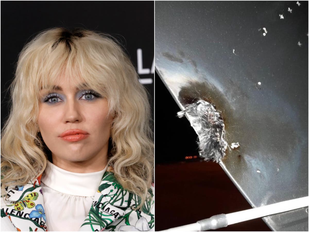 Miley Cyrus cancels festival appearance after jet is hit by lightning Miley Cyrus cancels festival appearance after jet is hit by lightning