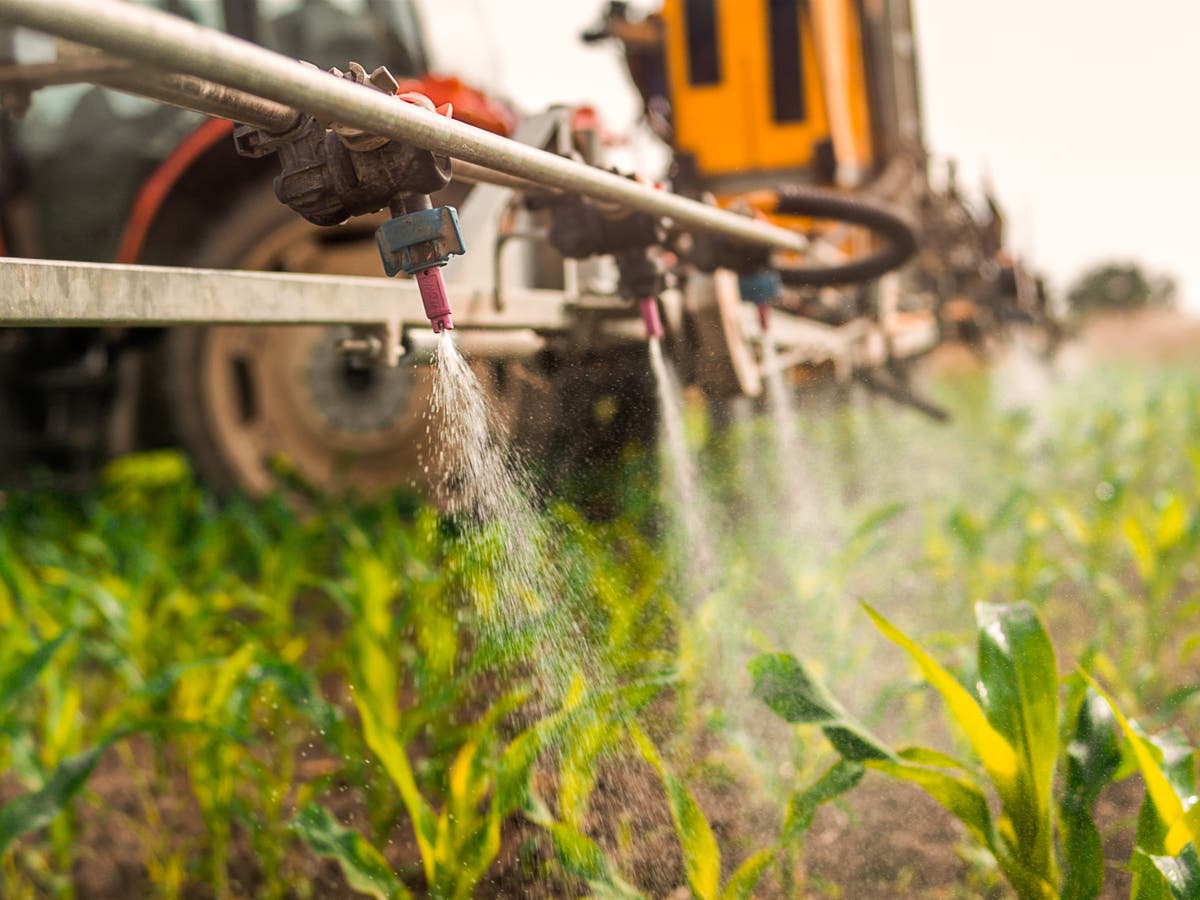 Ukraine war to push back EU plans on sustainable farming