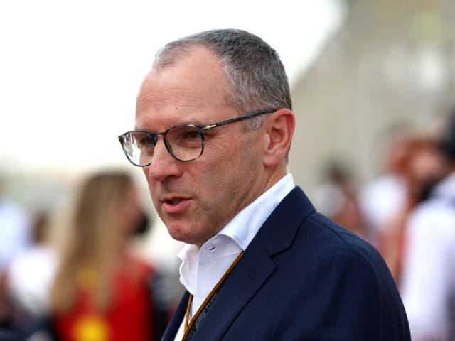 <p>Formula 1 chief executive Stefano Domenicali</p>