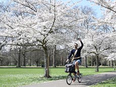 Hay fever warning as temperatures soar to 21C and pollen levels spike