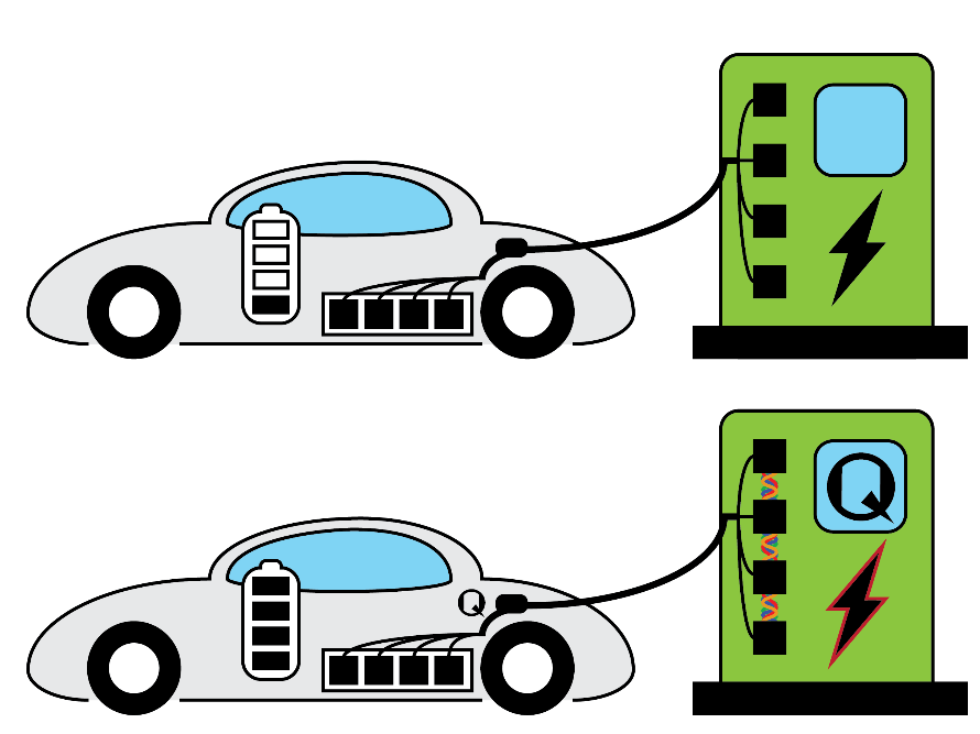 Quantum charging would cut charge times at charging stations from 30 mins to 90 seconds