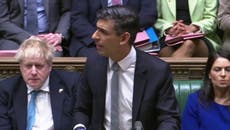 Rishi Sunak addresses Ukraine war in spring statement