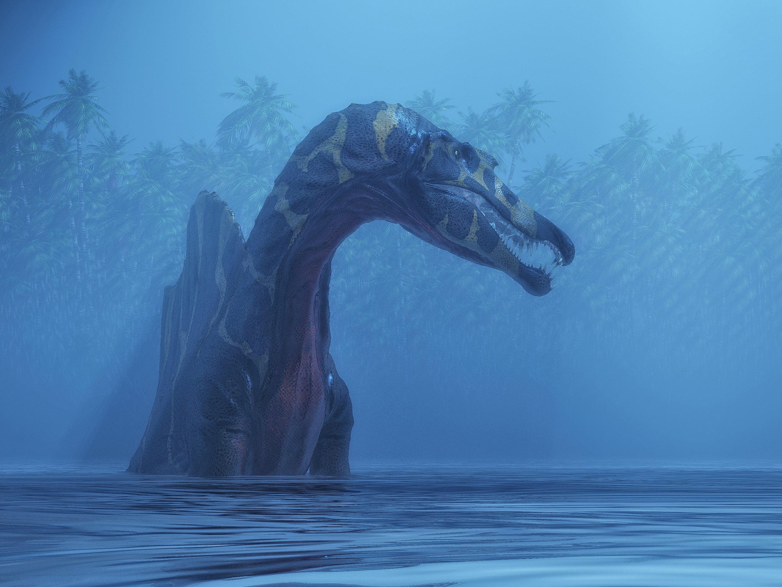 Spinosaurus may have swum to survive