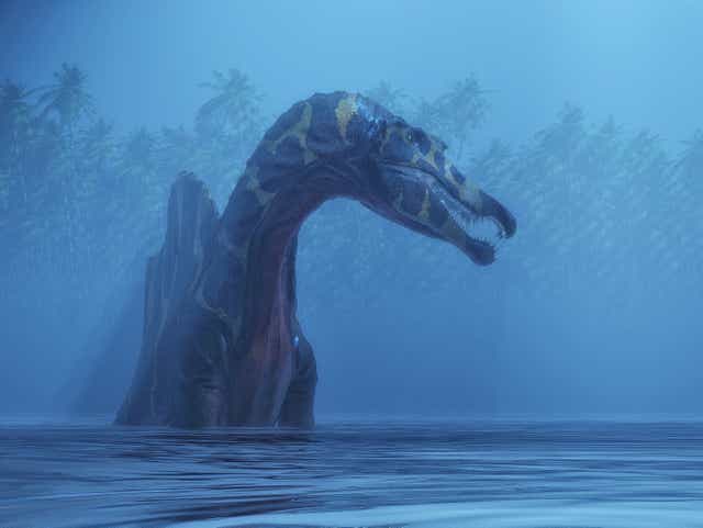 <p>Spinosaurus may have swum to survive </p>