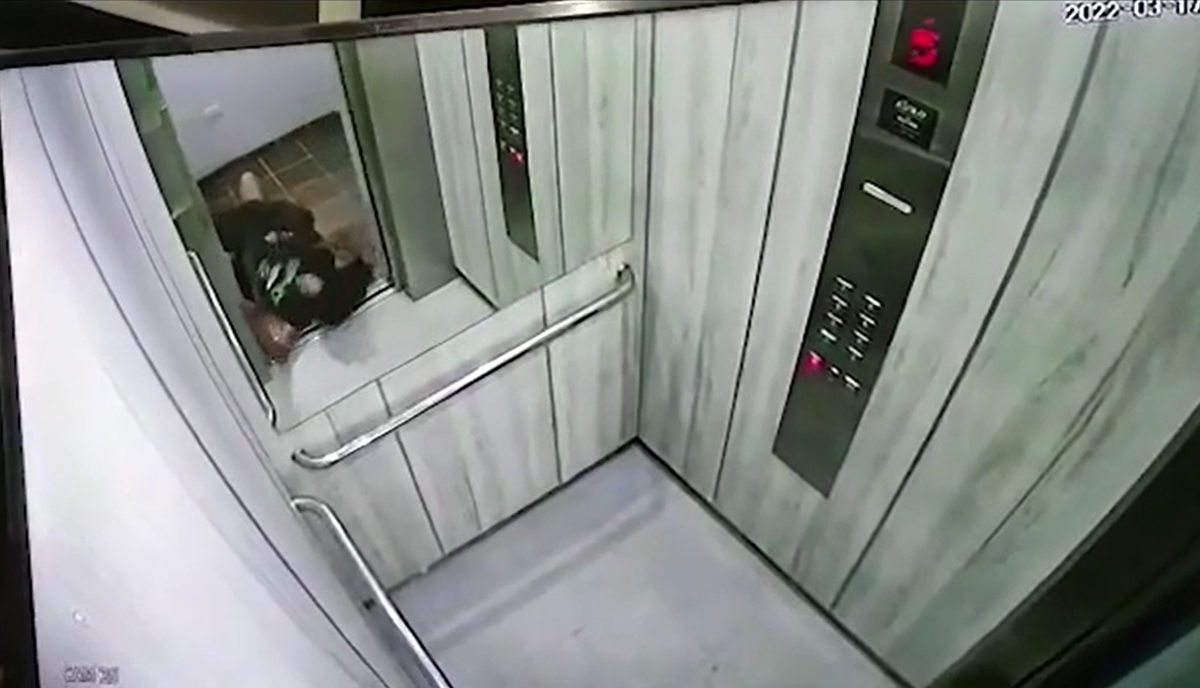 Video shows woman mauled by pit bull escape by rolling into an elevator