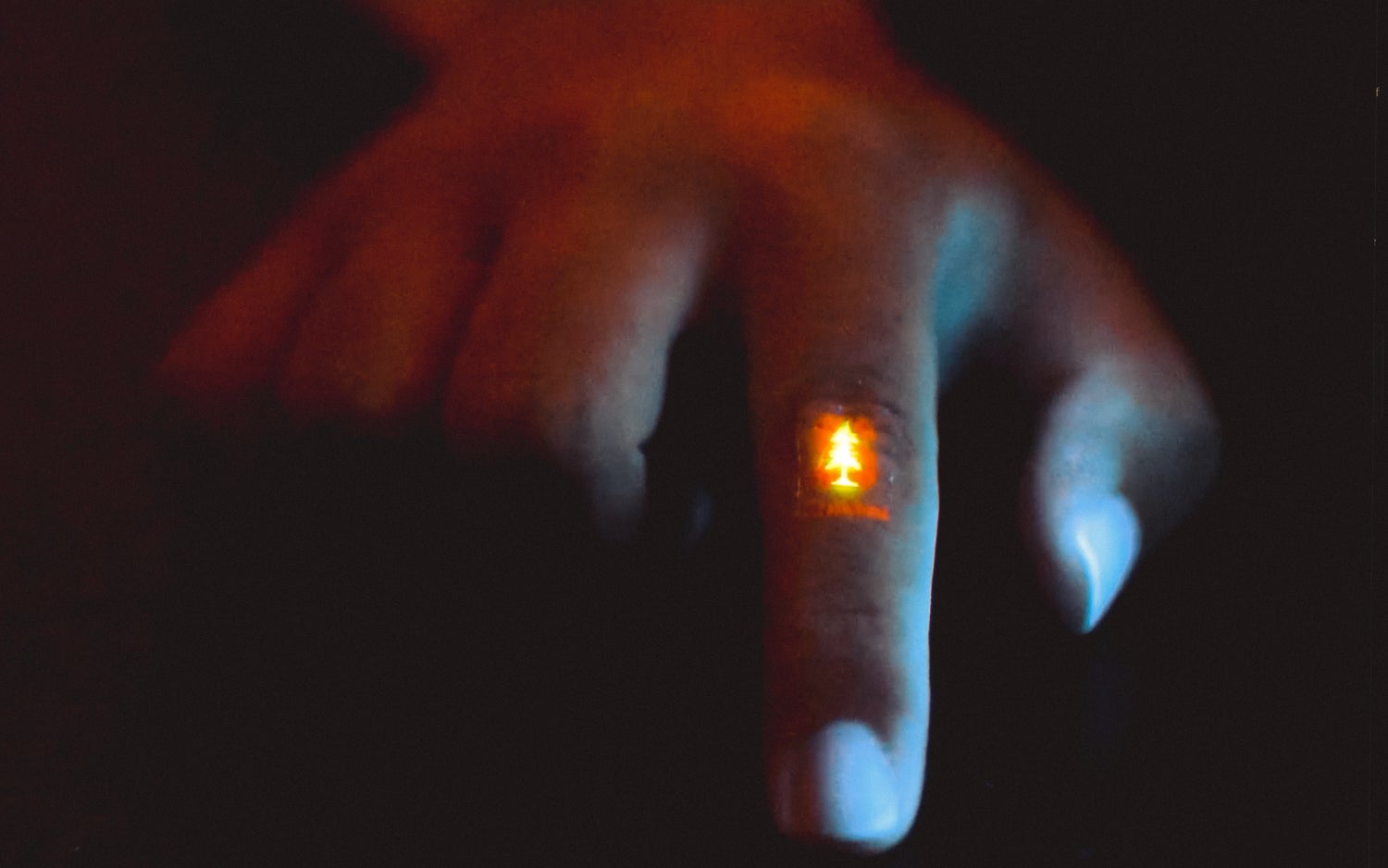 Zhitao Zhang wears the flexible light-emitting film, featuring a Stanford logo, on the knuckle of their finger. This shows how the film can hold up to flexing and wrinkling