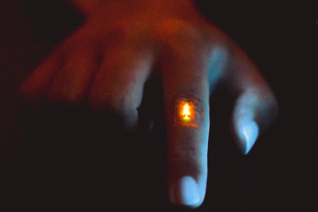 <p>Zhitao Zhang wears the flexible light-emitting film, featuring a Stanford logo, on the knuckle of their finger. This shows how the film can hold up to flexing and wrinkling</p>