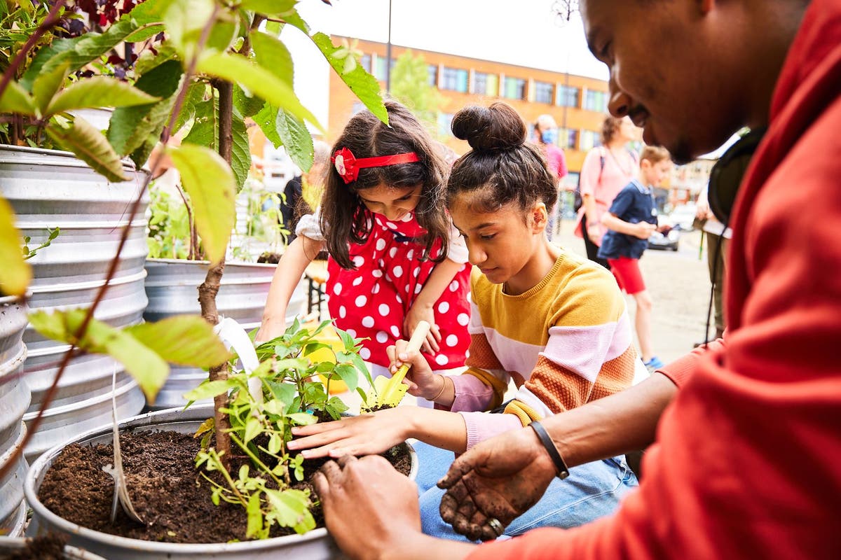 Winners of Civic Arts Organisations award showed &lsquo;resilience&rsquo; during pandemic