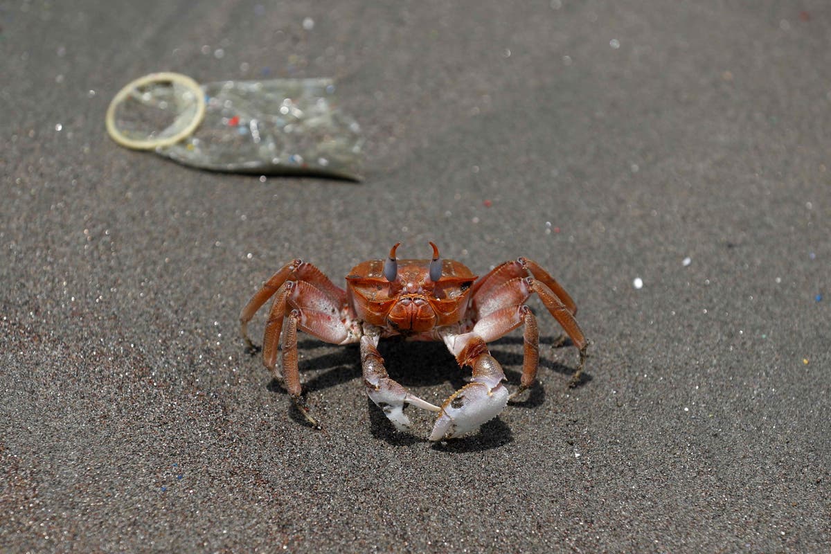 Men could get a new, non-hormonal contraceptive, study shows