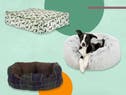 14 best dog beds to keep your four-legged friend comfy and cosy