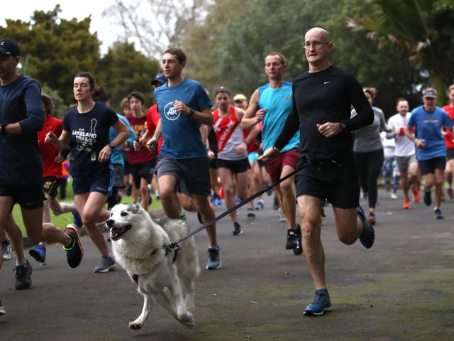 <p>A man runs with a dog on a waist harness at a Parkrun in New Zealand</p>
