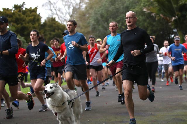 <p>A man runs with a dog on a waist harness at a Parkrun in New Zealand</p>