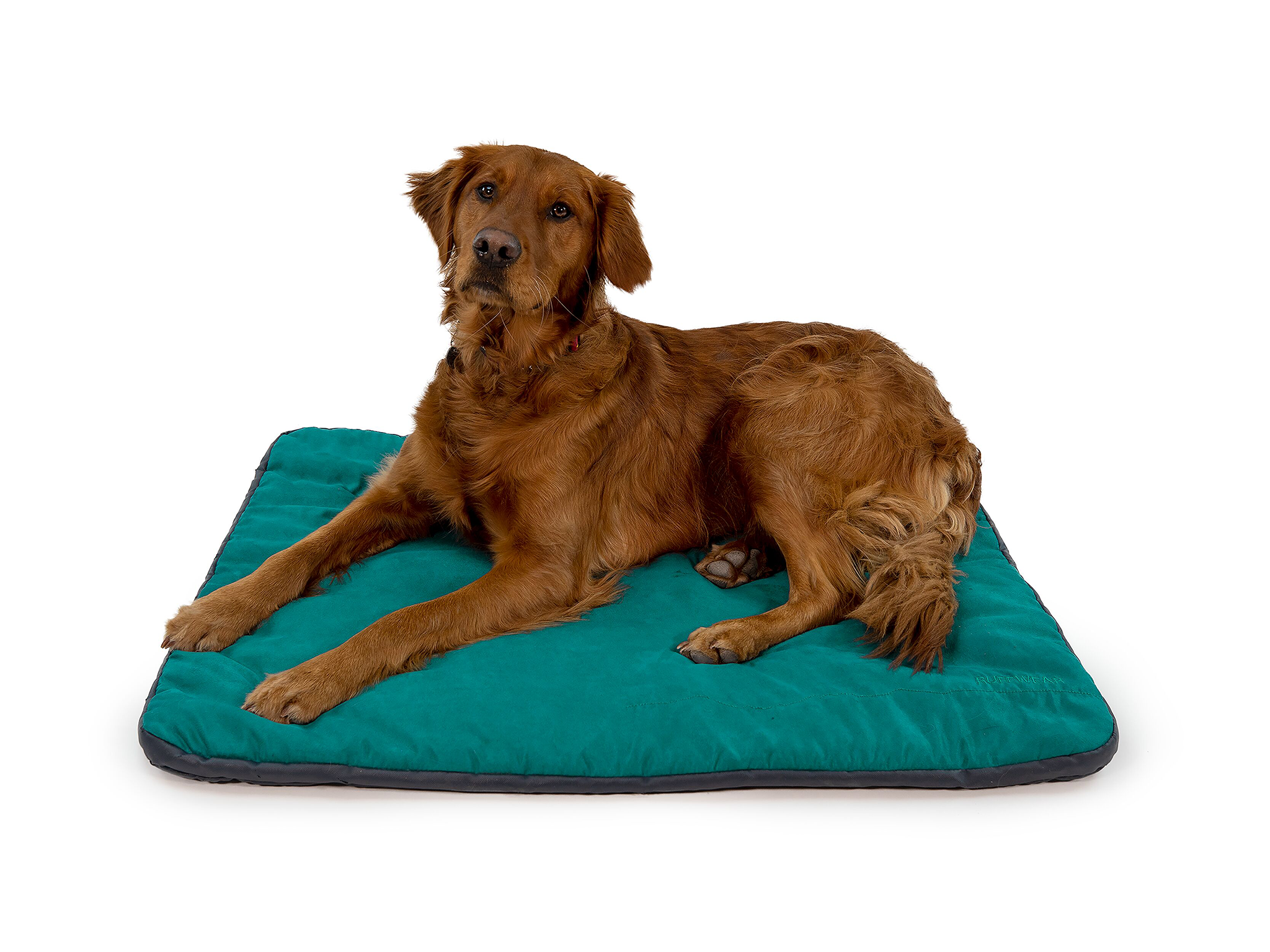 Fabric Bottom by Ethical Pets Comfortable Sleep Zone Faux Suede Cuddle Cave Dog Bed Durable 22X17 Inches/Tan/Attractive Washable 