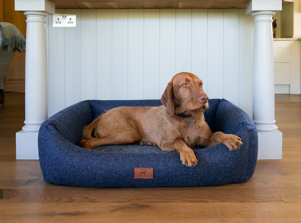 Best Dog Beds 2022 From Cosy Puppy To Lightweight Travel Designs The Independent - Best Outdoor Furniture For Dogs