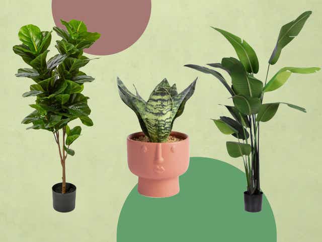 <p>The main priority is how the plants looked – we didn’t want a shiny, plastic look to our foliage</p>