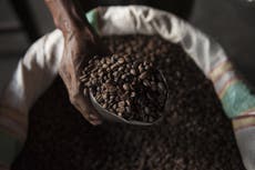 Woman, 32, dies of caffeine overdose after ‘unacceptable’ 7-hour wait for ambulance