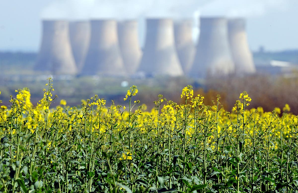 Sunflower oil shortage sees rapeseed oil added to foods without label changes