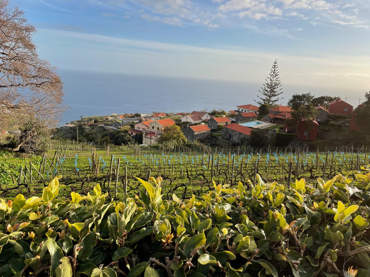 Going to ground: Embracing the agritourism life in Madeira