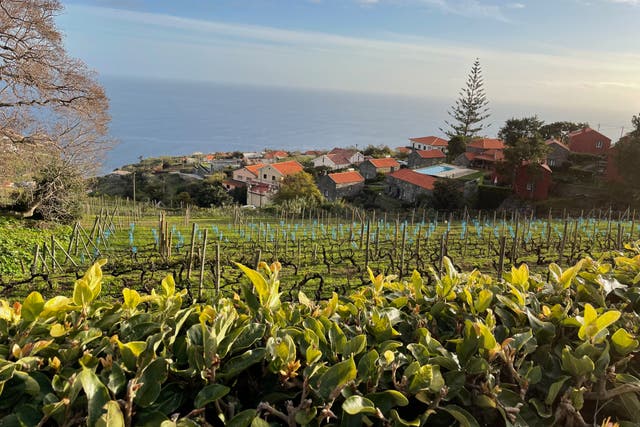 <p>View from Quintas das Vinhas, Madeira</p>