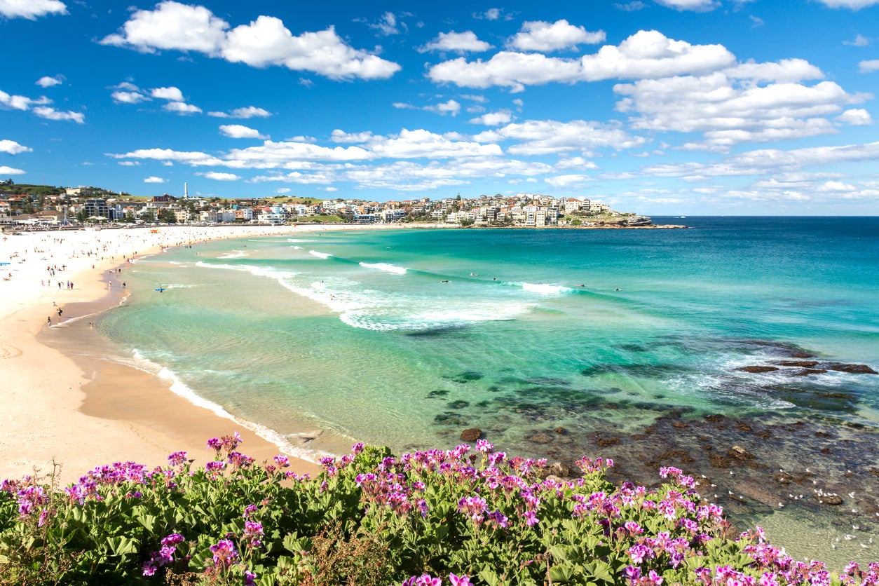European Beach Fucking - Bondi Beach to become nudist for one day only | The Independent