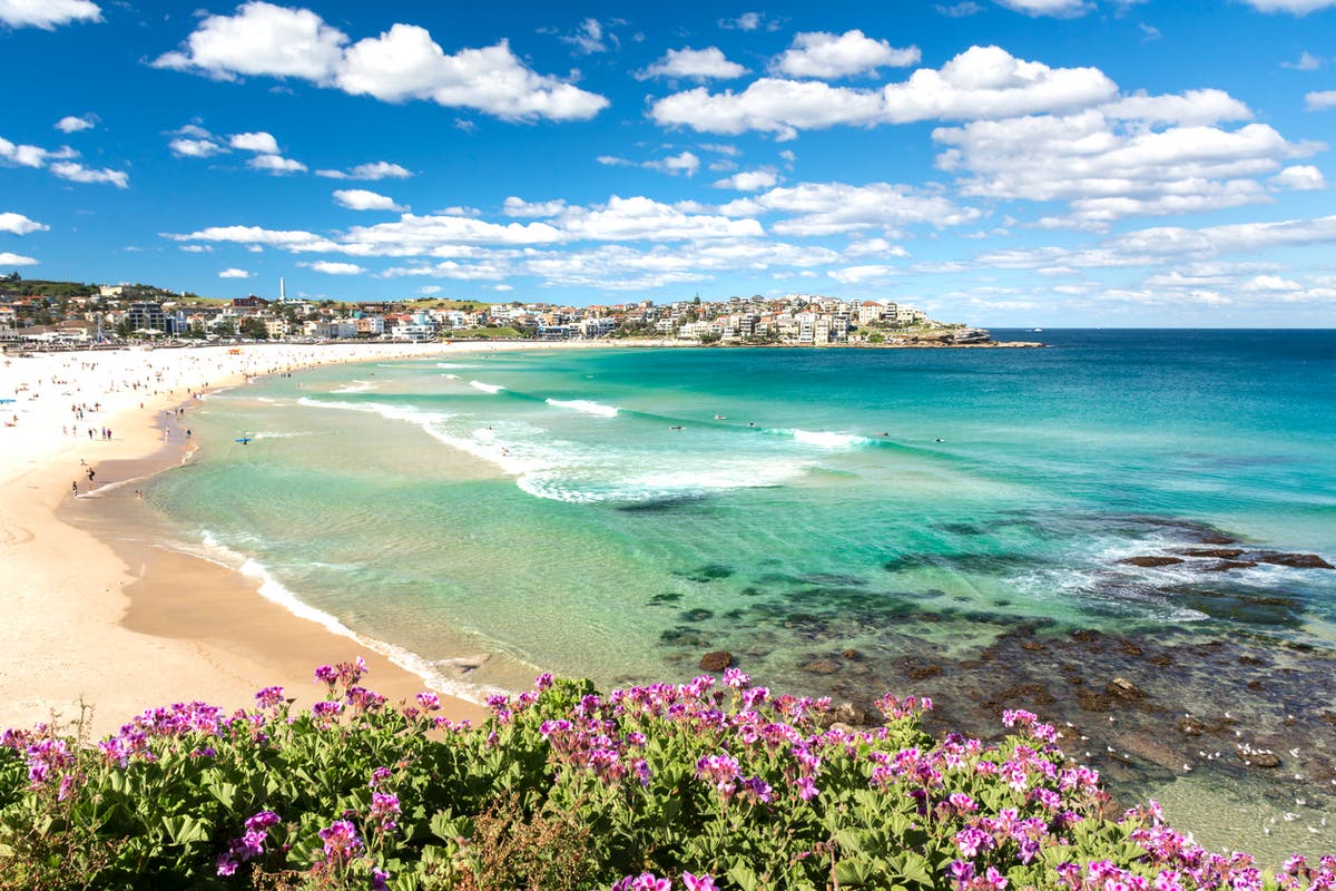 Beach Model Nude Set - Bondi Beach to become nudist for one day only | The Independent