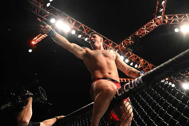 <p>Tom Aspinall won the UFC London main event in March and will headline again in July </p>