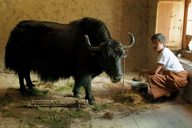 <p>Pawo Choyning Dorji’s Oscar-nominated film ‘Lunana: A Yak in the Classroom’</p>