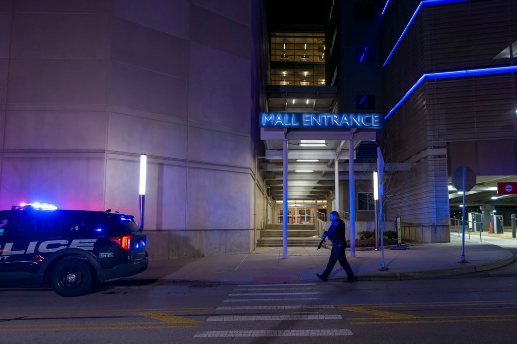 Man, 18, faces murder charge in Chicago-area mall shooting 