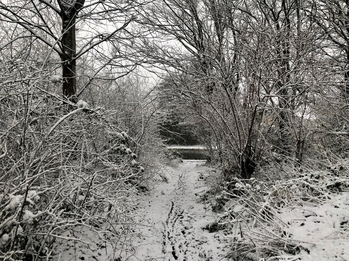 Погода джим. Weather Snow. Май месяц снег. Snowfall weather. Май снег холодрыга.