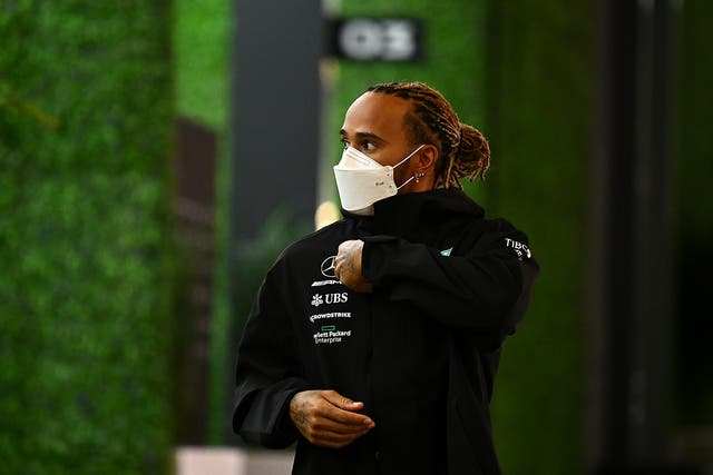 <p>Lewis Hamilton was abused on Twitter by the marshal</p>