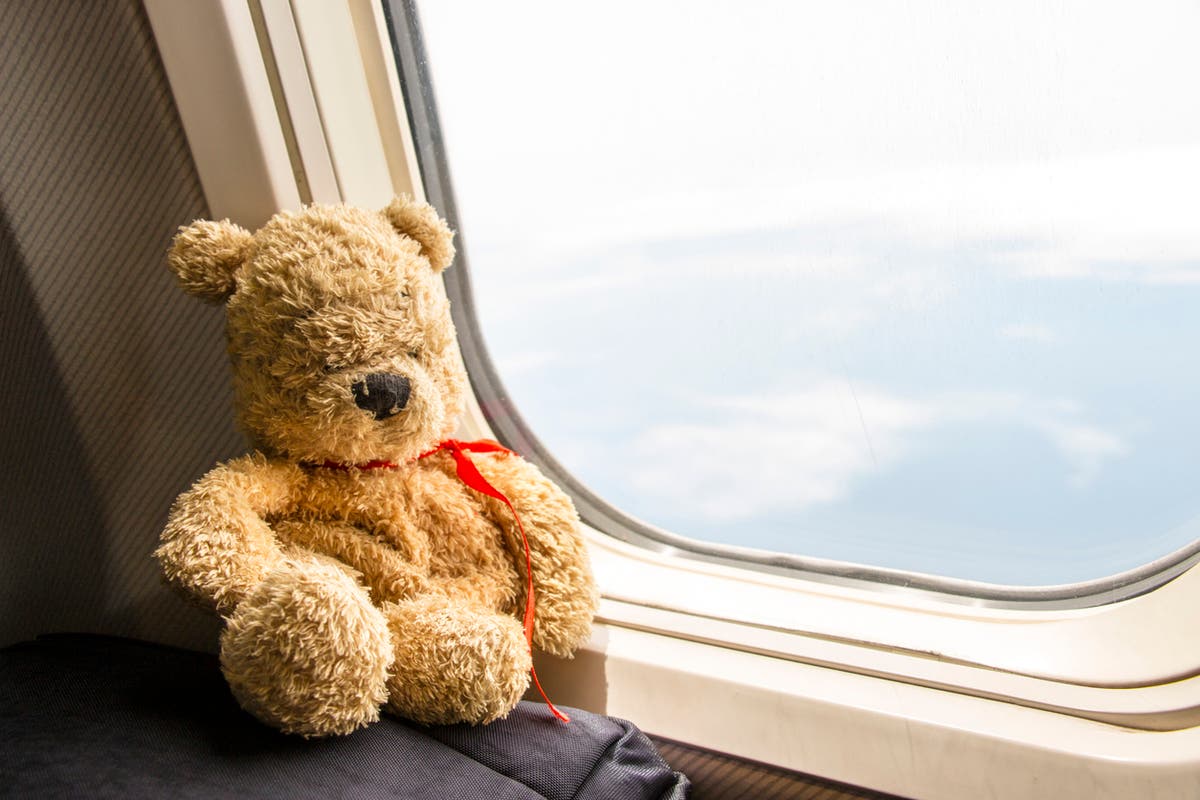 Planeload of passengers votes on name for little girl’s teddy bear