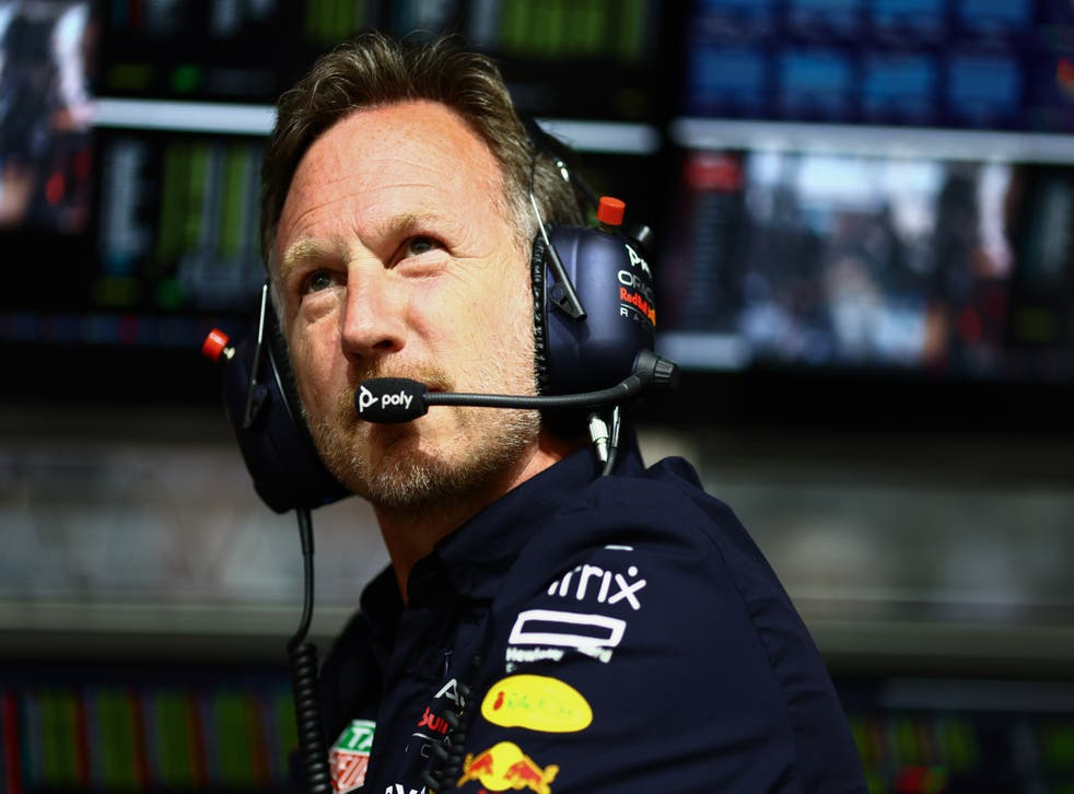 <p>Christian Horner has led Red Bull since the team entered the sport in 2005. </p>