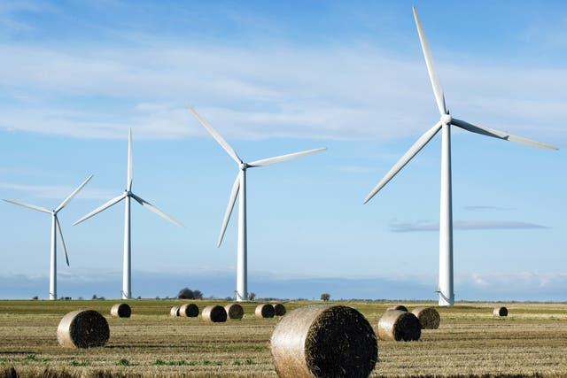 <p>Westmill Wind Farm Co-op, the first onshore wind farm to be built in the south-east of England, in 2008.</p>