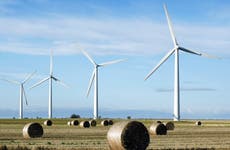 Green groups call on government to ‘unblock’ onshore wind ahead of energy security strategy