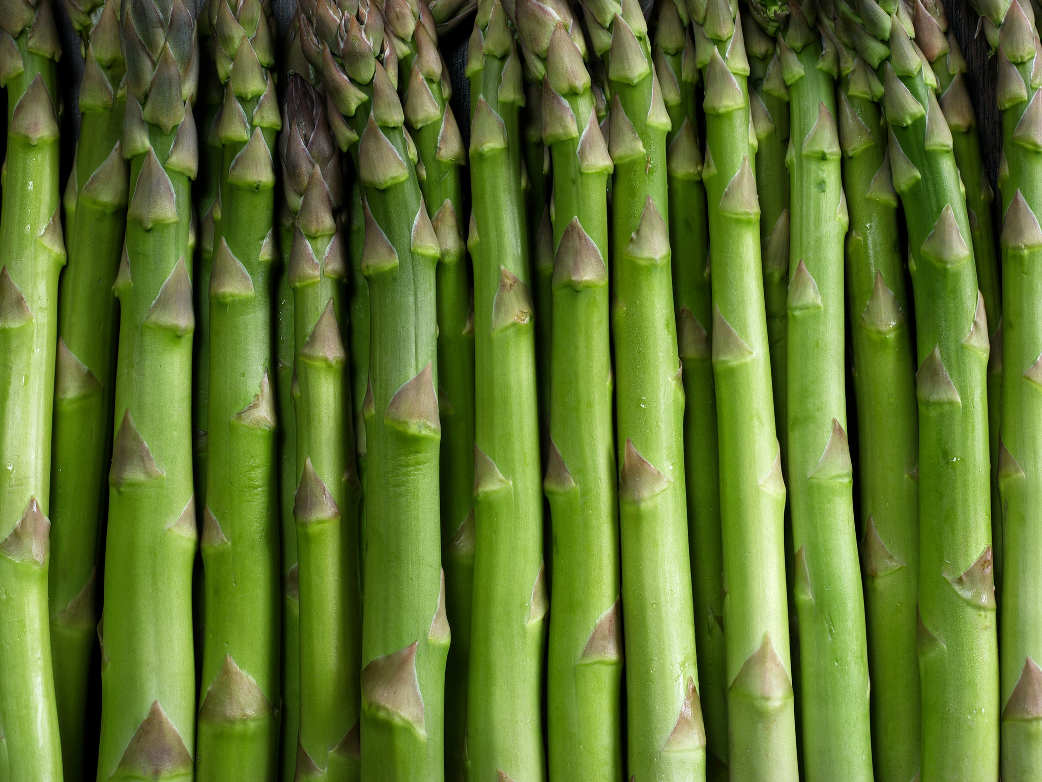 Asparagus season runs from the end of February to June