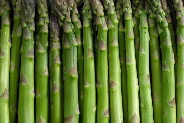 <p>Asparagus season runs from the end of February to June </p>