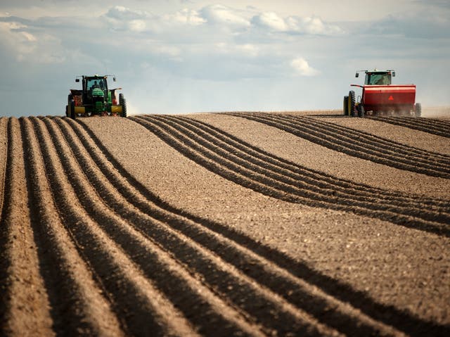 <p>A wave of homogeneity across the world is standardising unhealthy human diets and damaging ecosystems</p>