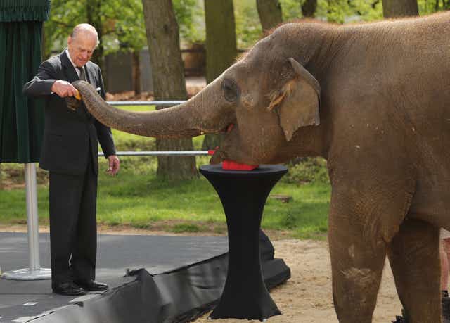 The Duke of Edinburgh with an elephant at ZSL Whipsnade Zoo (Chris Radburn/PA)
