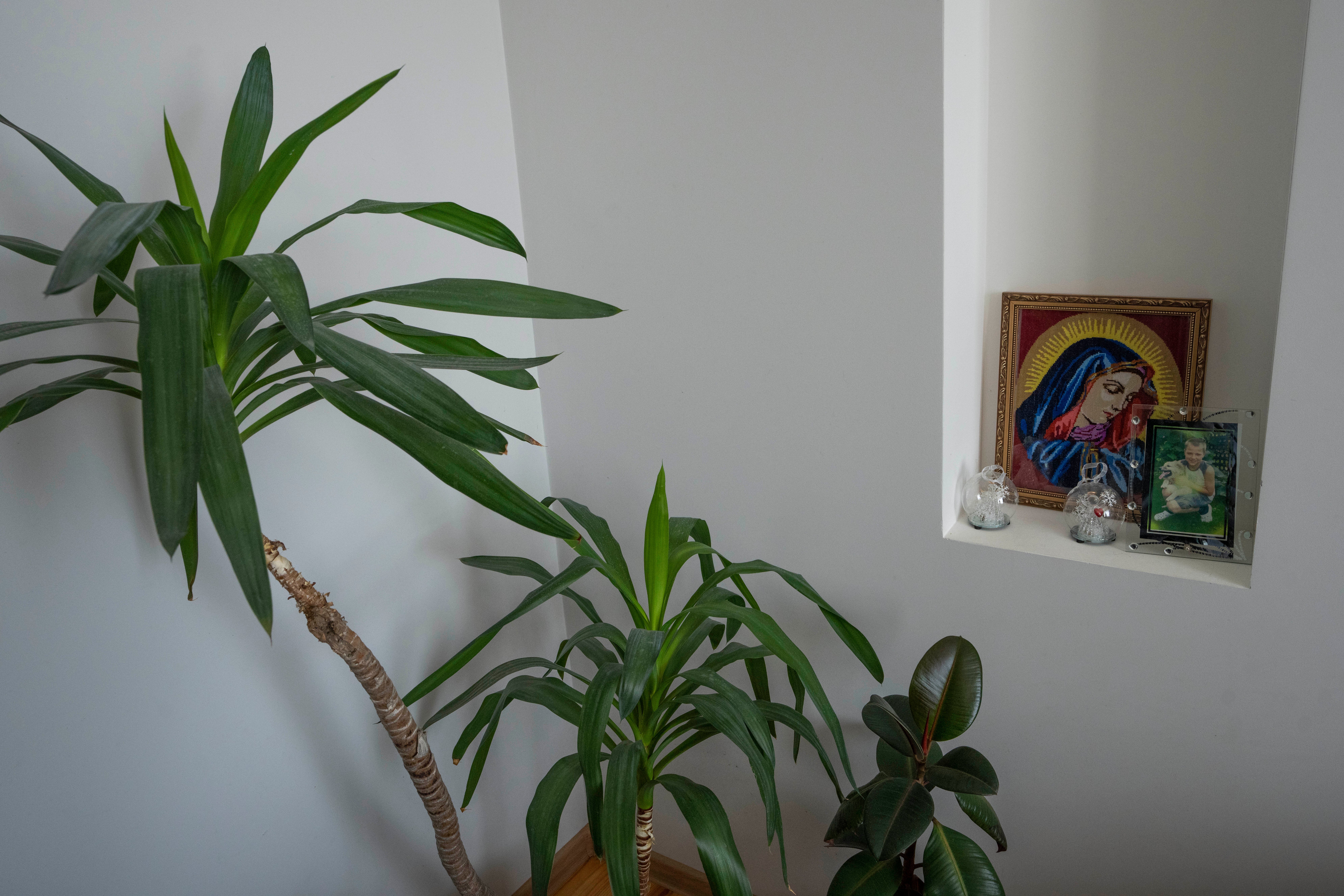 EU Russia Ukraine War Fighting for Food