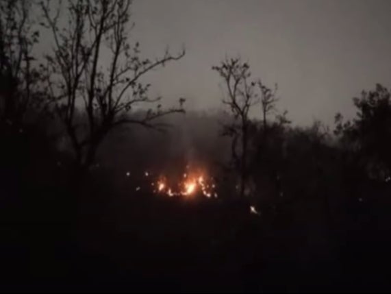 A massive fire broke out at India’s Sariska Tiger Reserve on Monday evening. Screengrab