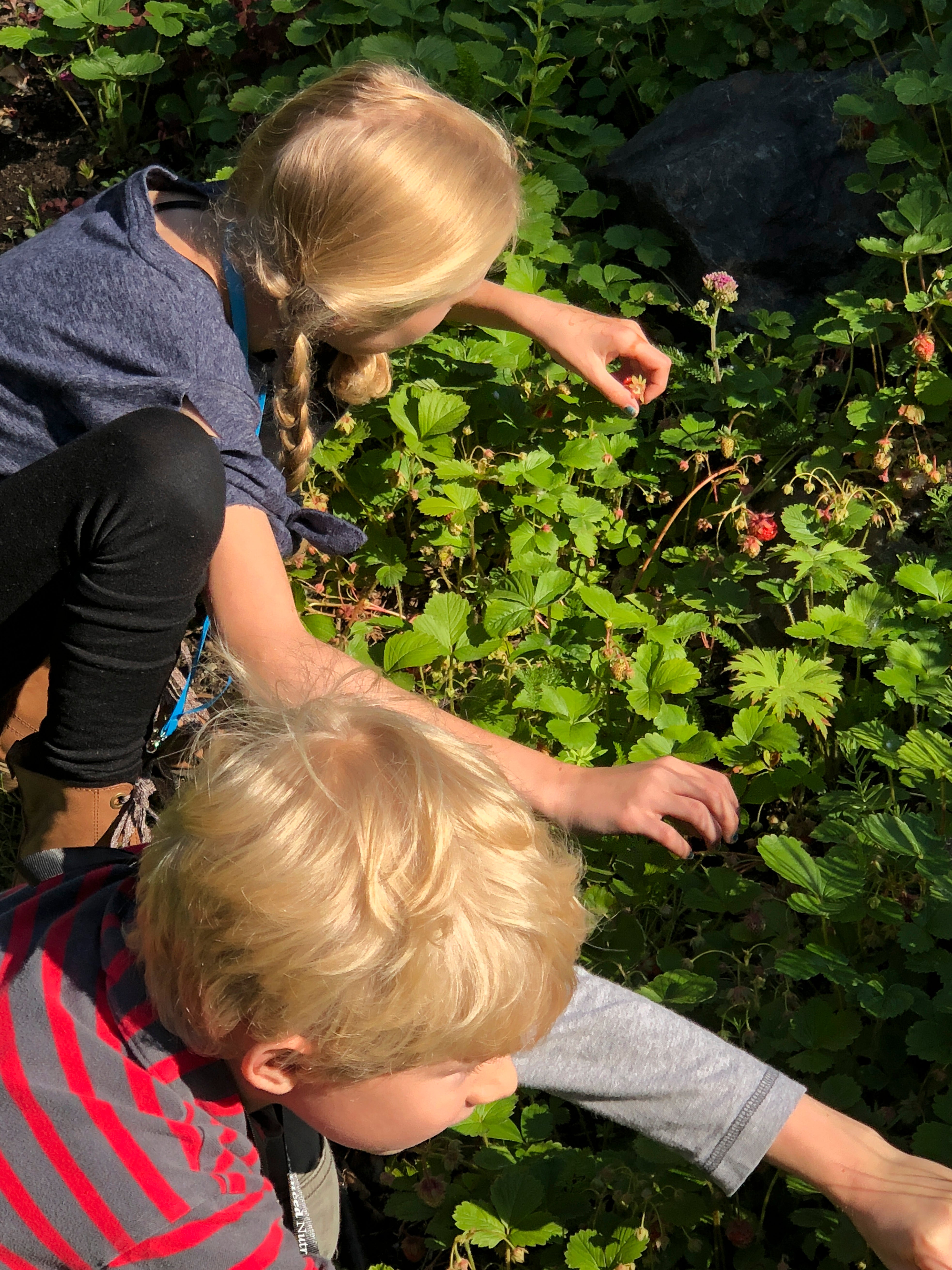 Gardening With Kids